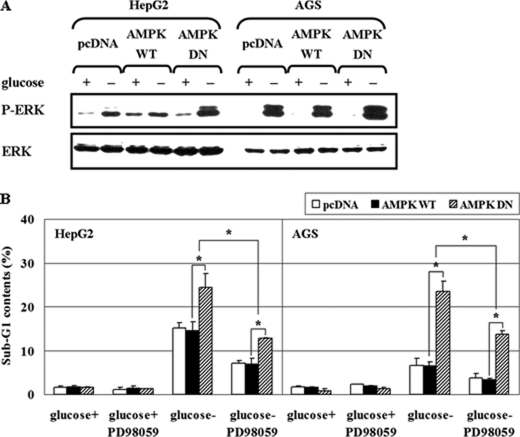 FIGURE 10.