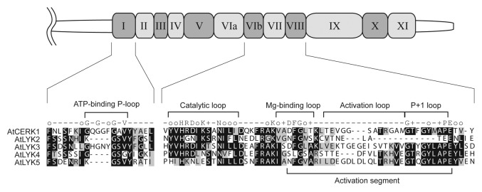 graphic file with name psb-8-e22598-g1.jpg