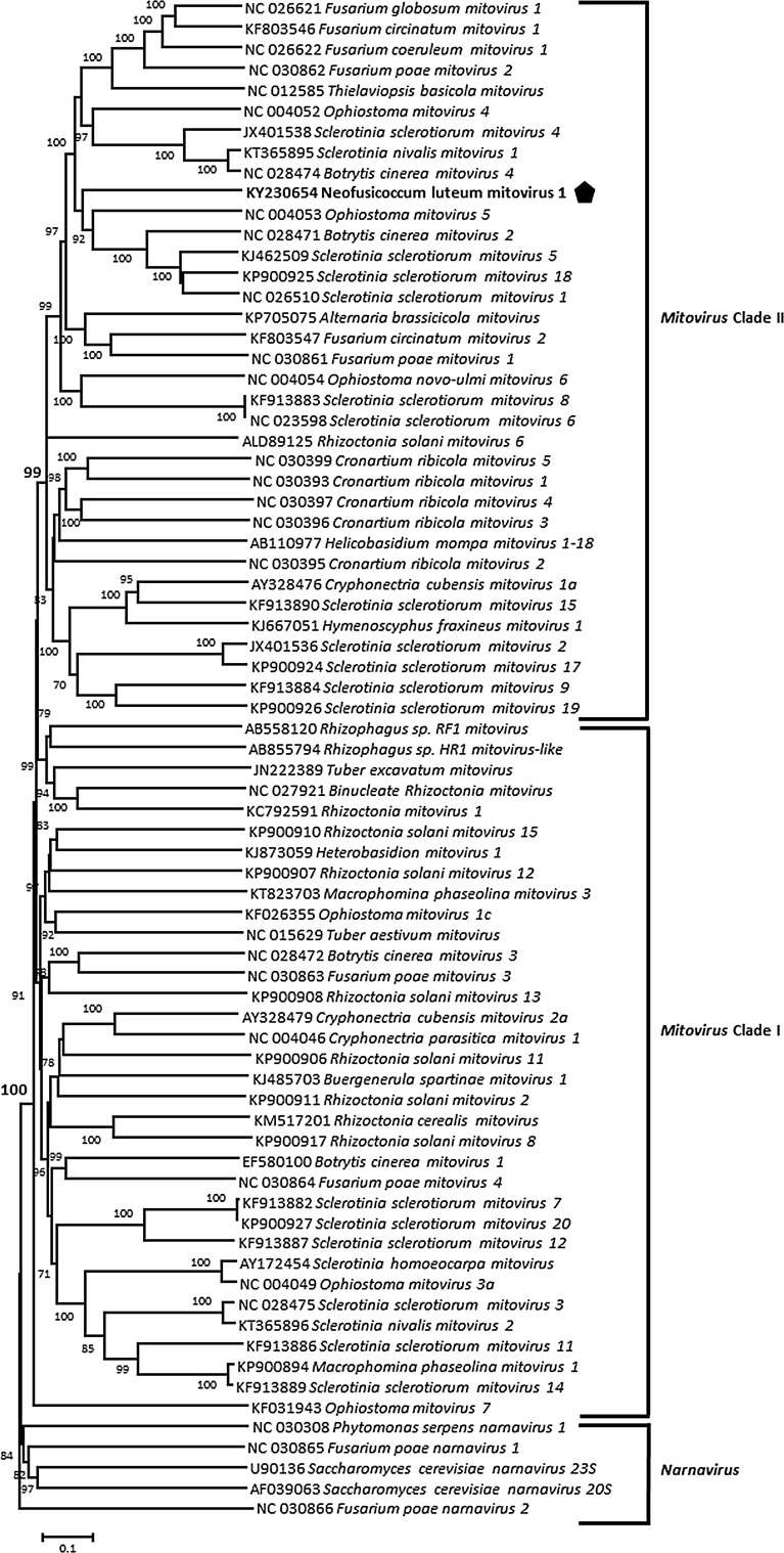 Fig. 2