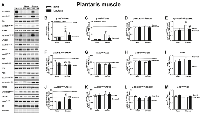 Fig. 6