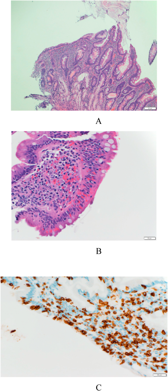 Fig. 2