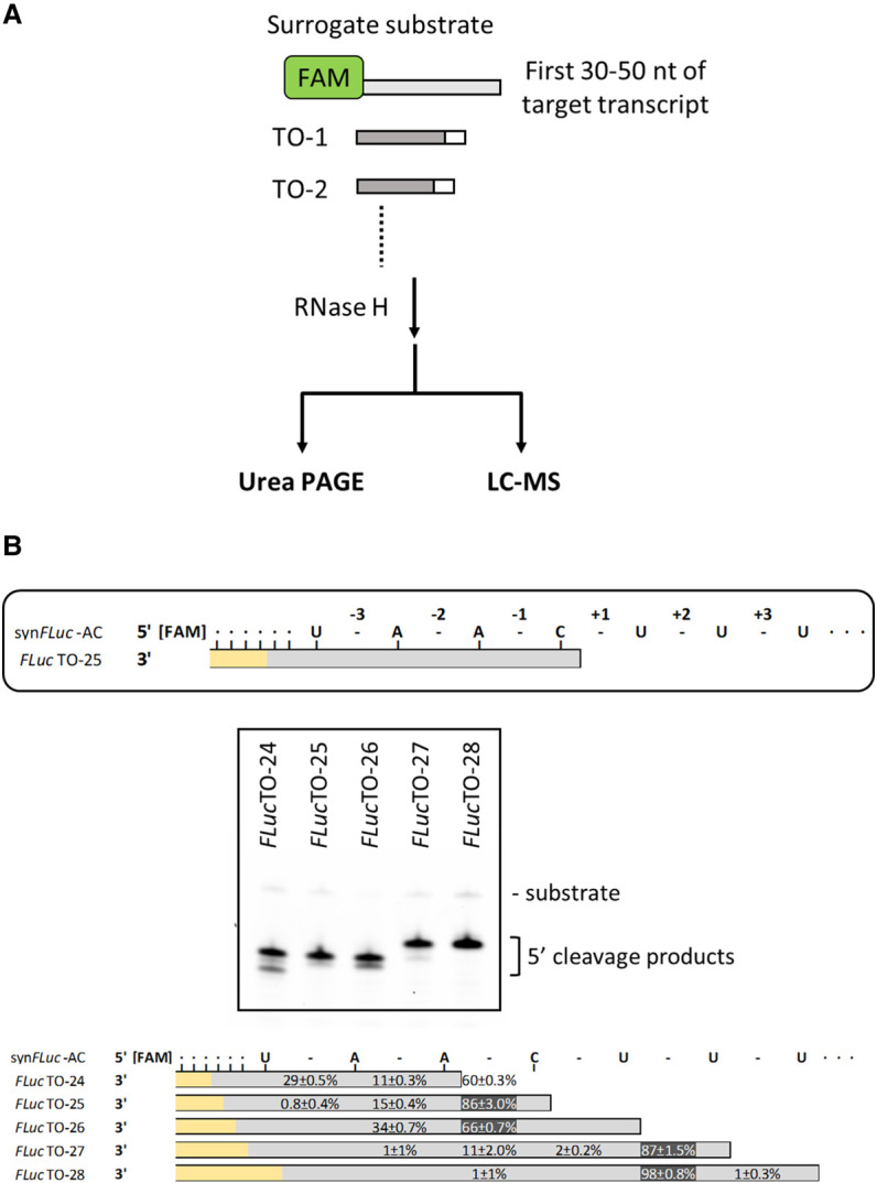 FIGURE 4.