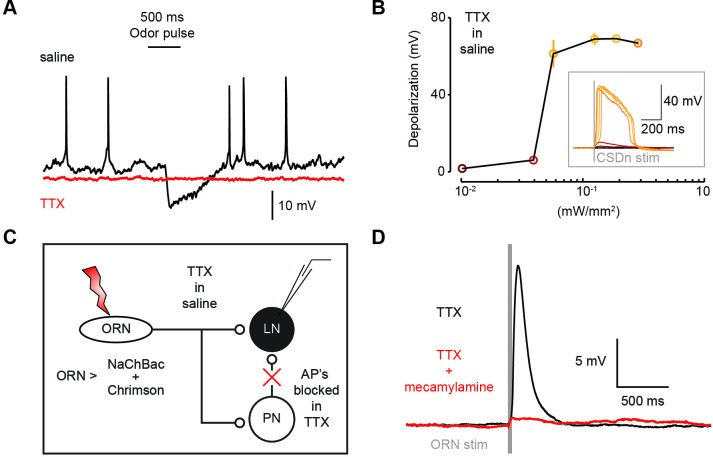 Figure 3—figure supplement 4.