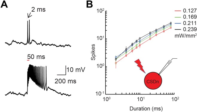 Figure 3—figure supplement 1.