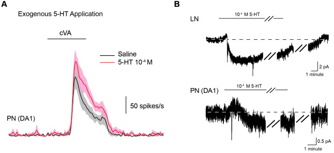 Figure 5—figure supplement 1.