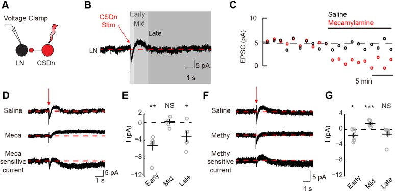 Figure 3—figure supplement 2.