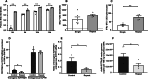 Figure 5