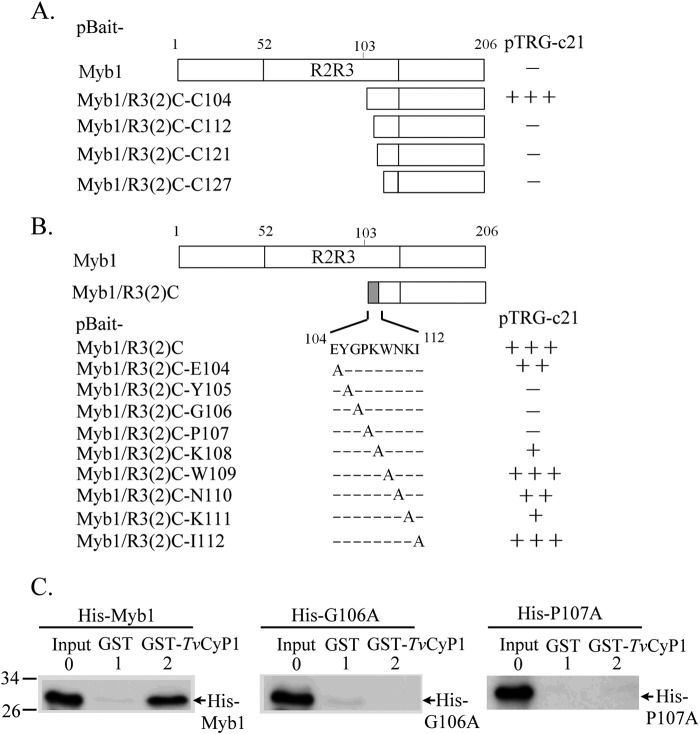 FIGURE 7.