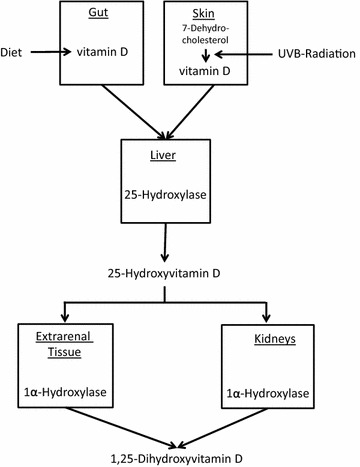 Fig. 1