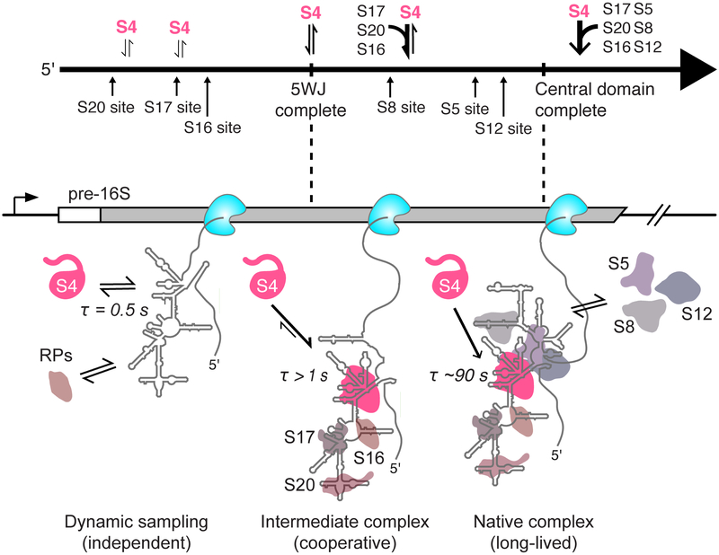 Figure 7.