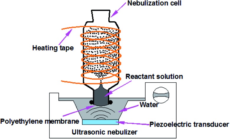 Fig. 1