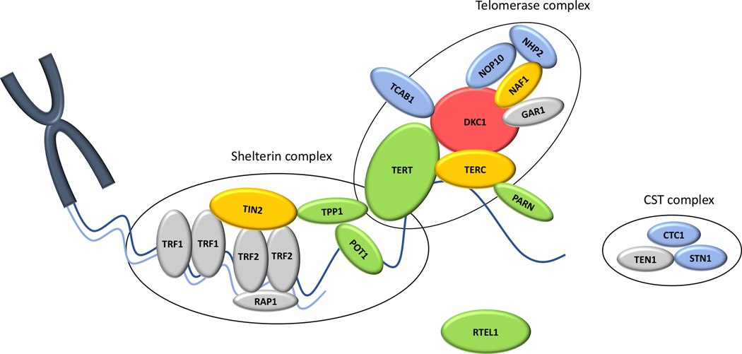 Figure 2: