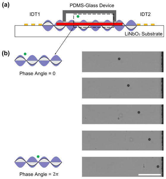 Fig. 4