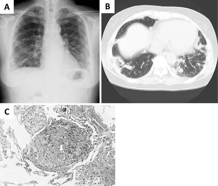 Figure 1.