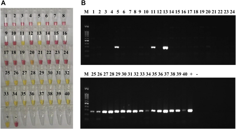 FIGURE 4