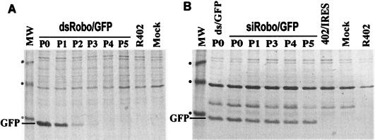 FIG. 3