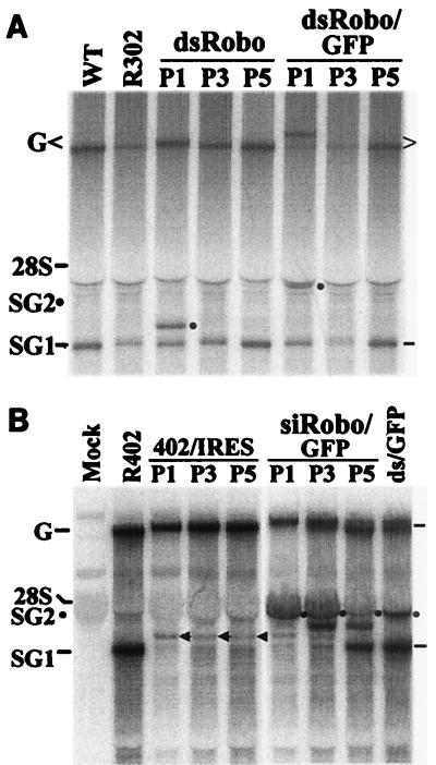 FIG. 5