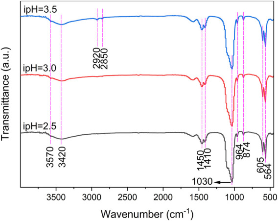 FIGURE 2