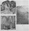 280-1