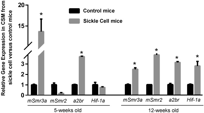 Figure 6.