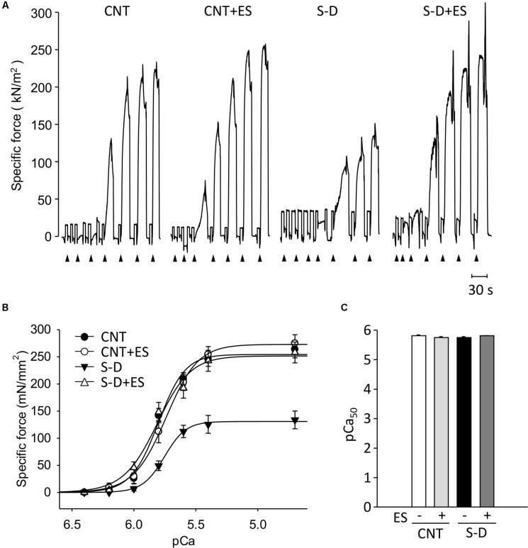 FIGURE 3