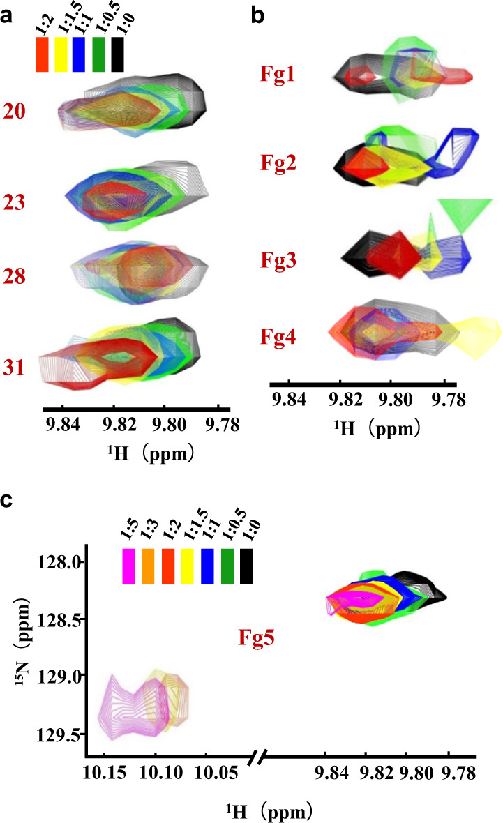 Fig. 7