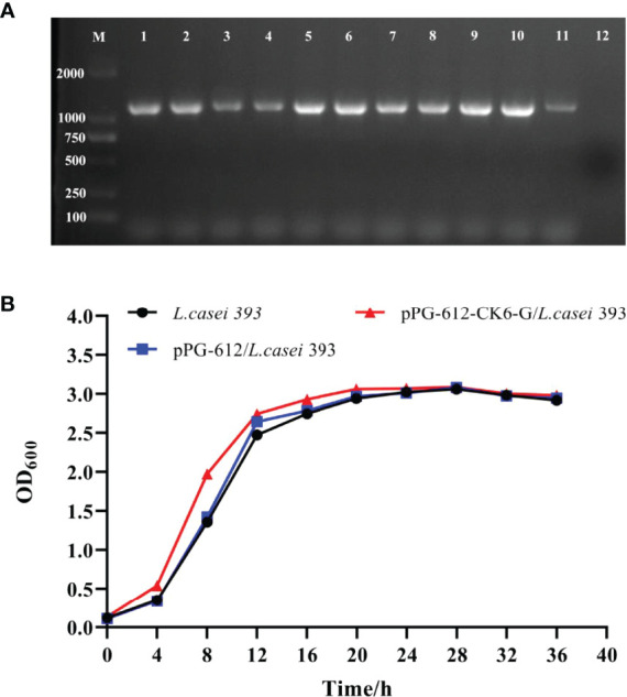 Figure 2