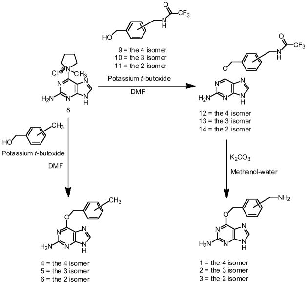 Scheme 1