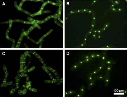 Figure 10.