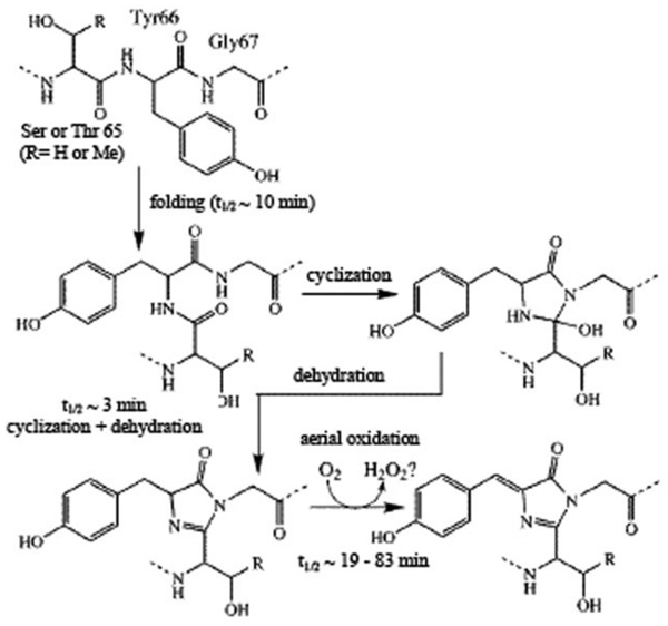 Fig. (7)