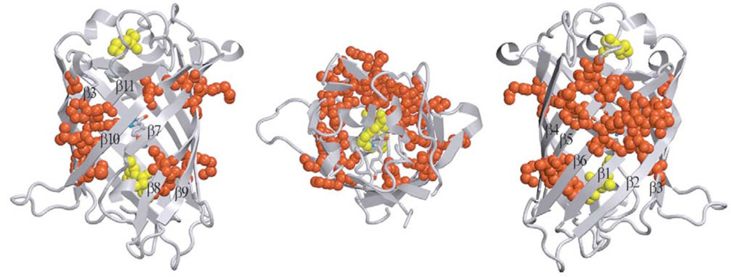 Fig. (13)