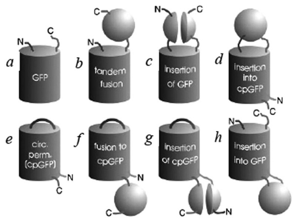 Fig. (14)