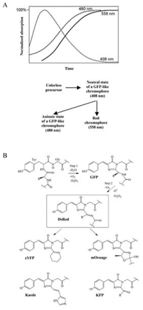 Fig. 10