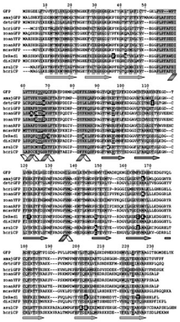 Fig. (5)