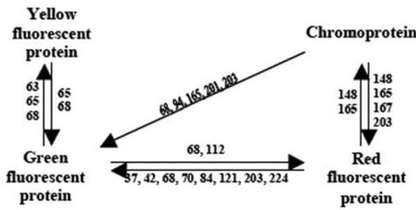 Fig. (2)