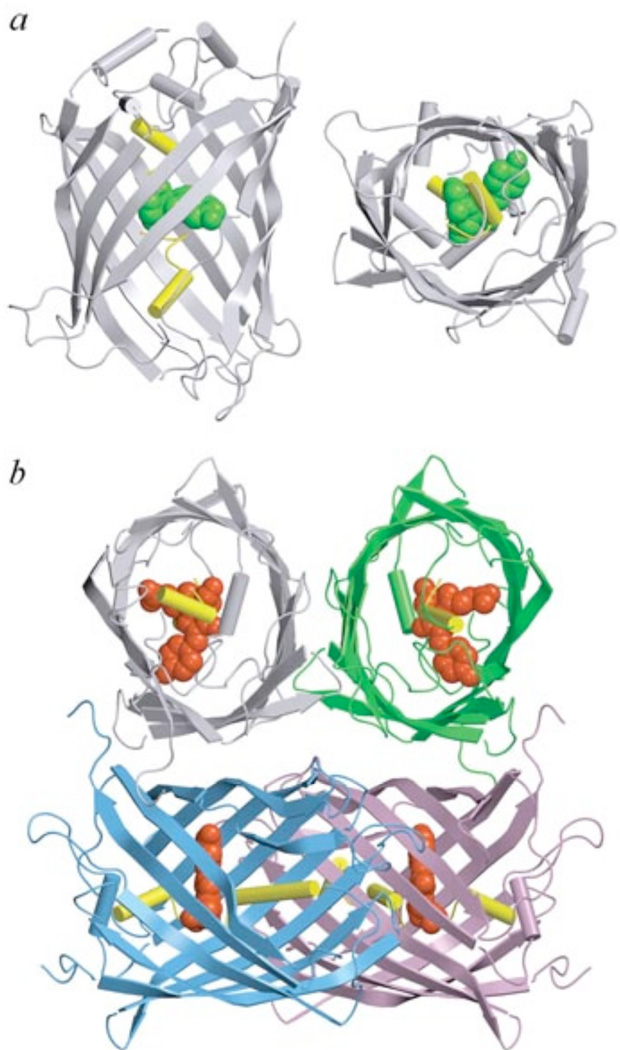 Fig. (6)