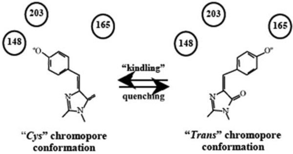 Fig. (4)