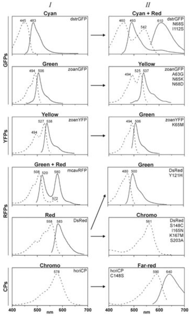 Fig. (1)