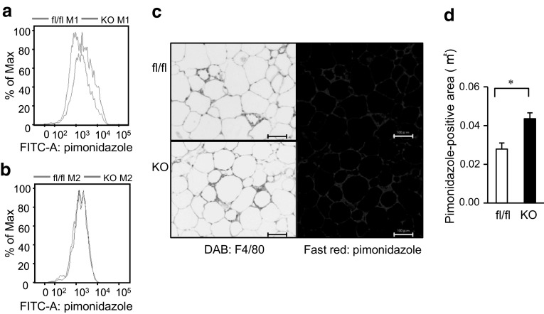 Fig. 4