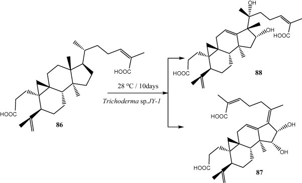 Fig. 8