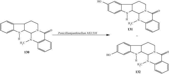 Fig. 14