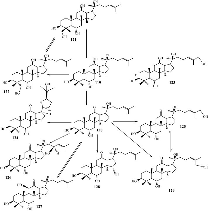 Fig. 13