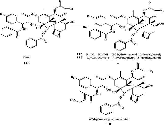 Fig. 12