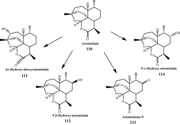 Fig. 11