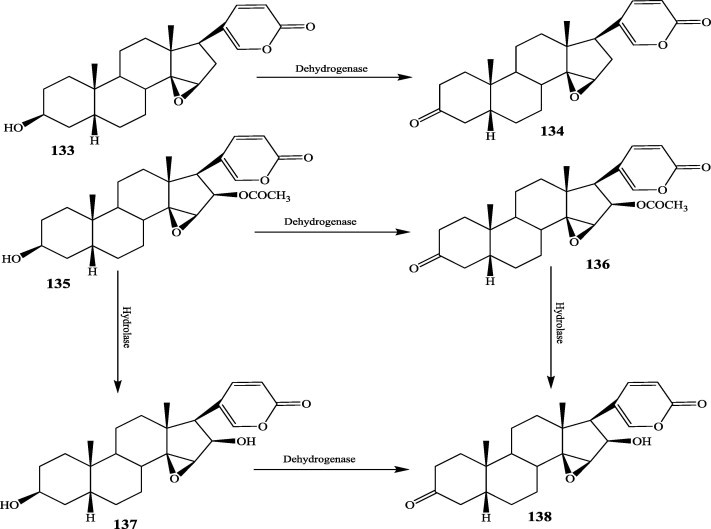 Fig. 15