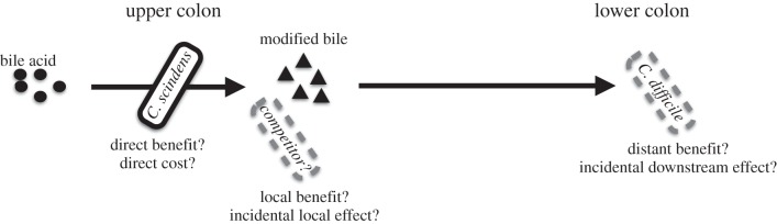 Figure 2.