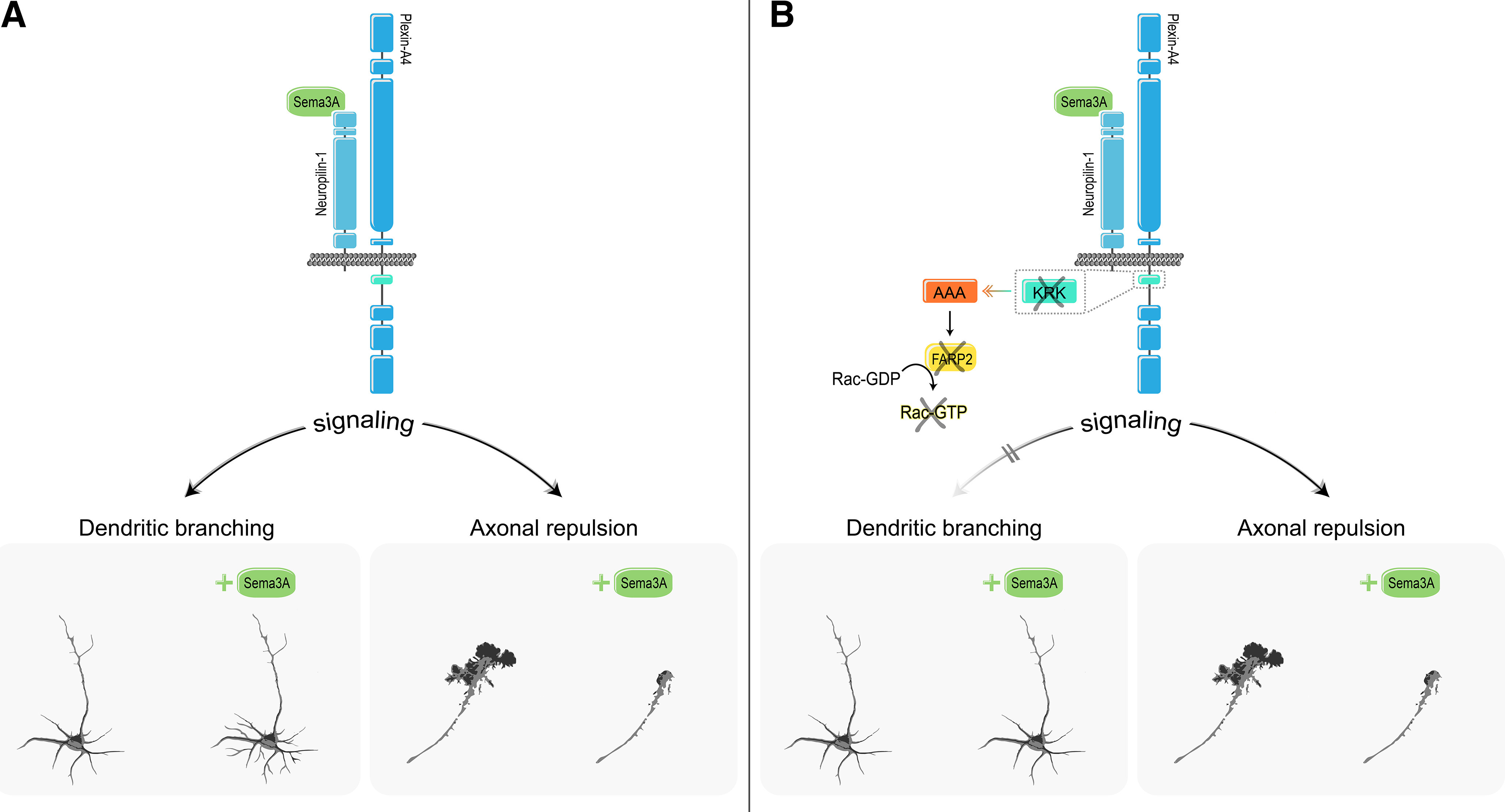 Figure 10.