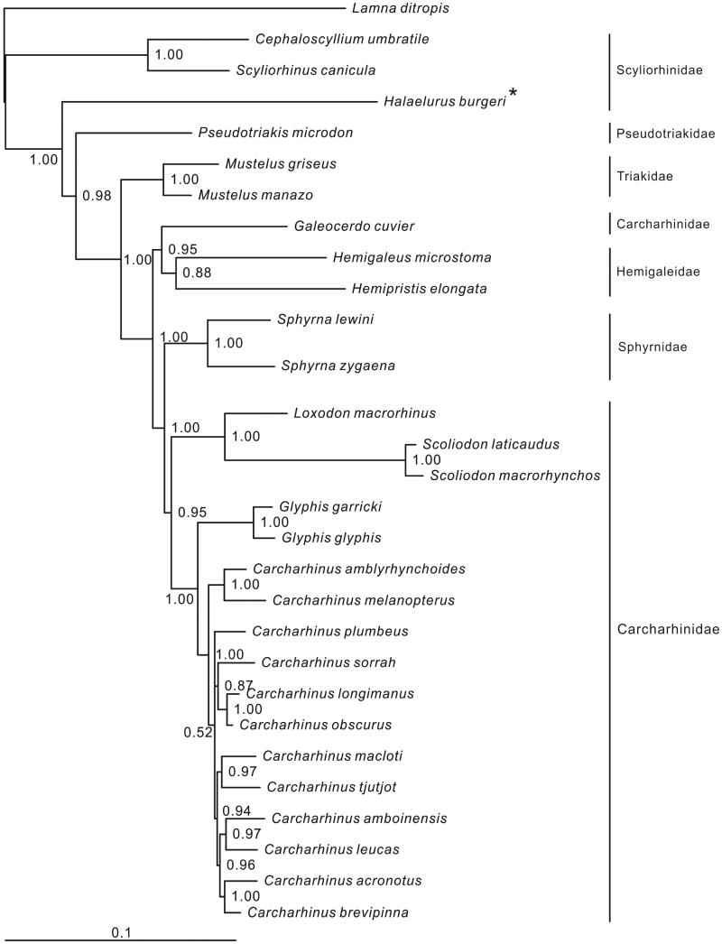 Figure 1.