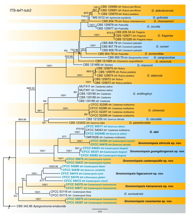 Figure 2