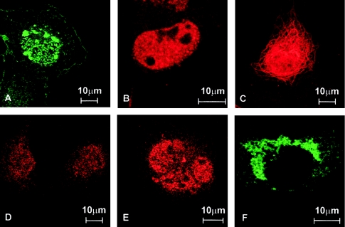 Figure  3